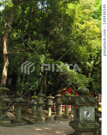 A moss-covered stone lantern standing in the grounds of Kasuga Taisha Shrine A moss-covered stone lantern standing in the grounds of Kasuga Taisha Shrine 140436349