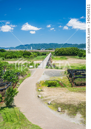 The famous Kamitsuya Bridge (Nagarebashi) on the Kizu River and the tea plantations along the riverbank, Yawata City, Kyoto Prefecture The famous Kamitsuya Bridge (Nagarebashi) on the Kizu River and the tea plantations along the riverbank, Yawata City, Kyoto Prefecture 140436611