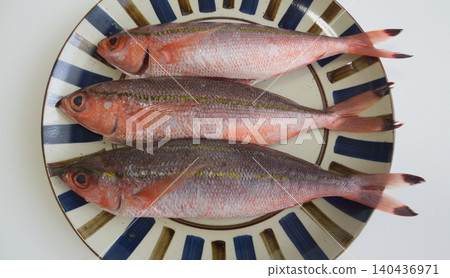 來自沖繩縣的新鮮古魯昆魚 | 新鮮食材擺盤 / 拼盤新鮮古魯昆魚 140436971