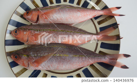 Fresh Gurukun Fish from Okinawa Prefecture | Fresh ingredients arranged on a plate / Fresh Gurukun Fish on a Plate Fresh Gurukun Fish from Okinawa Prefecture | Fresh ingredients arranged on a plate / Fresh Gurukun Fish on a Plate 140436976