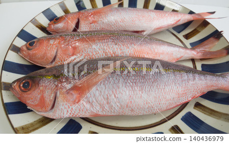 來自沖繩縣的新鮮古魯昆魚 | 新鮮食材擺盤 / 拼盤新鮮古魯昆魚 來自沖繩縣的新鮮古魯昆魚 | 新鮮食材擺盤 / 拼盤新鮮古魯昆魚 140436979