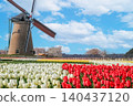 Tulip fields and windmills under a blue sky 140437120
