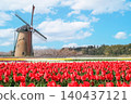 A spring scene of red tulip fields and windmills. 140437121