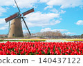 A spring park scene featuring windmills and tulip fields. 140437122