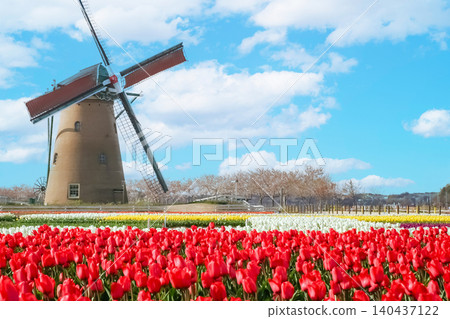 A spring park scene featuring windmills and tulip fields. A spring park scene featuring windmills and tulip fields. 140437122