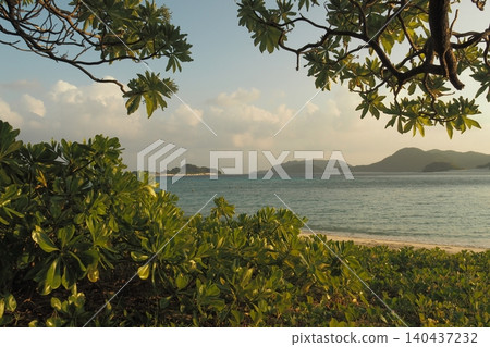 Ama Beach in the evening, the sea visible from the shade of the trees Ama Beach in the evening, the sea visible from the shade of the trees 140437232