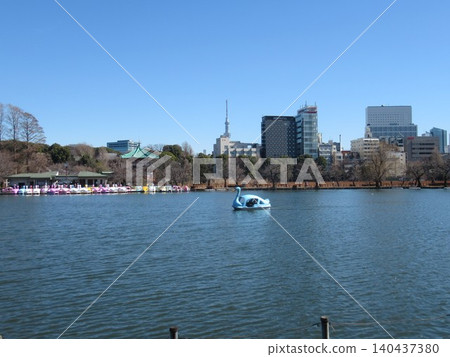 Ueno Park, Boat Pond, Winter Ueno Park, Boat Pond, Winter 140437380