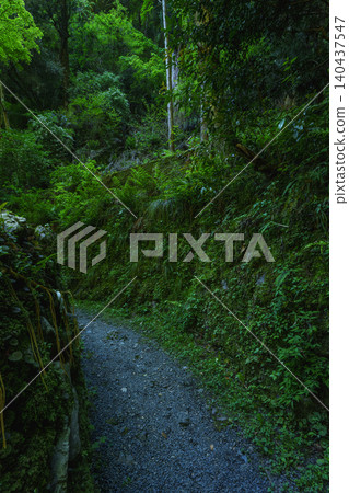 綠色的山路 綠色的山路 140437547