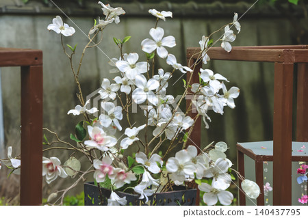 April 25 2026 White Spring Blossoms Arranged In Rustic Garden April 25 2026 White Spring Blossoms Arranged In Rustic Garden 140437795