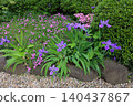 April 25 2026 Garden Bed With Pink Groundcover And Lush Foliage 140437867