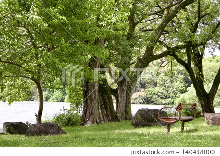 A scene of a bench standing by the water in a park surrounded by fresh greenery. A scene of a bench standing by the water in a park surrounded by fresh greenery. 140438000