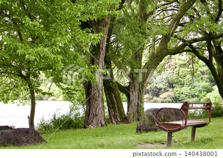 A bench standing by the water in a park surrounded by fresh greenery (close-up view) A bench standing by the water in a park surrounded by fresh greenery (close-up view) 140438001