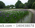 Iris 140438078