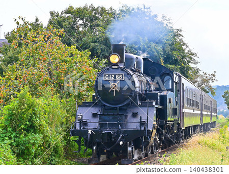 Steam locomotive of Moka railroad Steam locomotive of Moka railroad 140438301