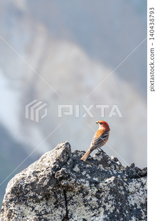 從上富良野町的三段山拍攝的十勝山脈,火山噴發出滾滾濃煙。 從上富良野町的三段山拍攝的十勝山脈,火山噴發出滾滾濃煙。 140438793
