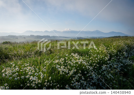 A rural landscape shrouded in early summer morning mist, photographed in Biei Town. 140438940