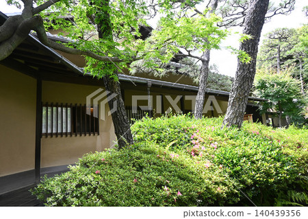 世田谷成城,豬股庭園:日式房間與花園 世田谷成城,豬股庭園:日式房間與花園 140439356