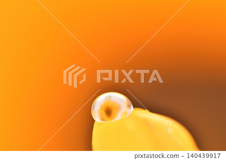A sunflower seen through the water droplets on its petals. A sunflower seen through the water droplets on its petals. 140439917