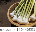 fresh new garlic 140440551