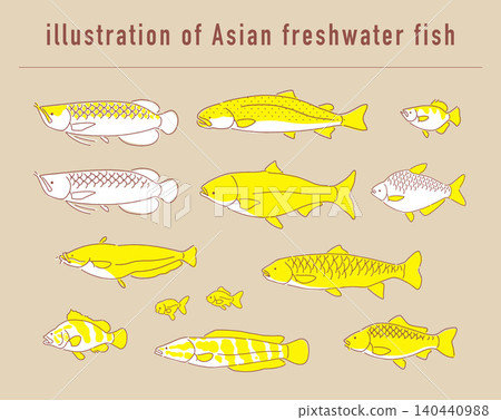 A set of illustrations of freshwater fish from Asia. A set of illustrations of freshwater fish from Asia. 140440988