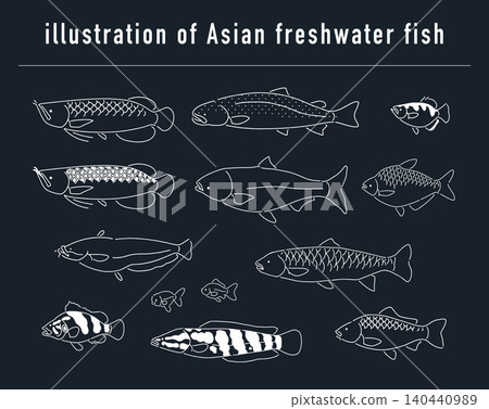 A set of illustrations of freshwater fish from Asia. 140440989