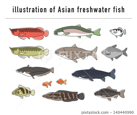 A set of illustrations of freshwater fish from Asia. 140440990