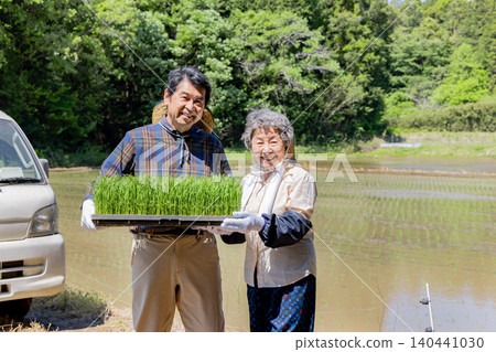 一對老年夫婦面帶微笑地手持稻苗準備栽種。 一對老年夫婦面帶微笑地手持稻苗準備栽種。 140441030
