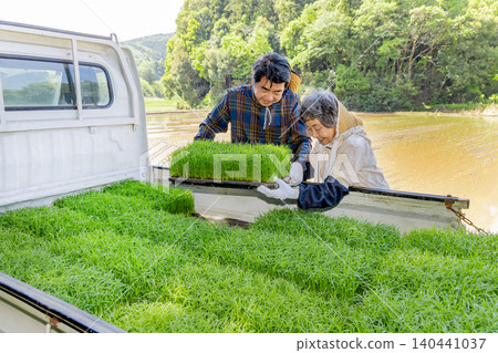 A scene of a senior couple working in a field, carrying rice seedlings for planting. A scene of a senior couple working in a field, carrying rice seedlings for planting. 140441037
