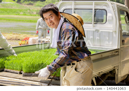 Japanese rice farmers transport rice seedlings in the back of a light truck. Japanese rice farmers transport rice seedlings in the back of a light truck. 140441063