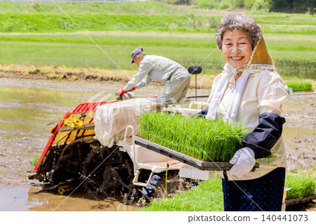 A smiling senior female farmer holding a rice transplanter and seedling trays. A smiling senior female farmer holding a rice transplanter and seedling trays. 140441073