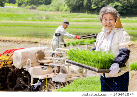 A smiling senior female farmer holding a rice transplanter and seedling trays. A smiling senior female farmer holding a rice transplanter and seedling trays. 140441074
