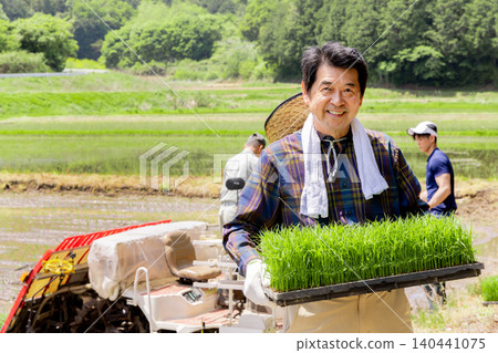 A smiling senior farmer carries rice seedlings in preparation for planting. 140441075