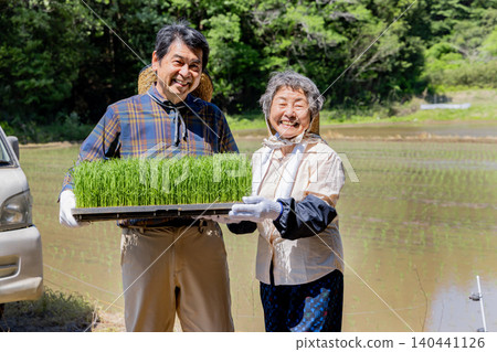 A senior couple smiles as they hold rice seedlings for planting. A senior couple smiles as they hold rice seedlings for planting. 140441126