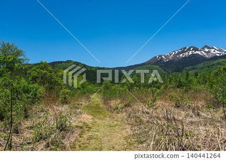 The trail leads from the Norikura Plateau in early summer to the snow-capped mountain range. The trail leads from the Norikura Plateau in early summer to the snow-capped mountain range. 140441264