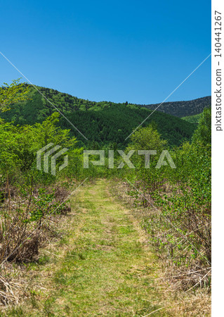 The trail leads from the Norikura Plateau in early summer to the snow-capped mountain range. The trail leads from the Norikura Plateau in early summer to the snow-capped mountain range. 140441267