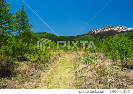 The fresh greenery of Norikura Plateau: A refreshing summer walking trail and Mount Norikura. The fresh greenery of Norikura Plateau: A refreshing summer walking trail and Mount Norikura. 140441305