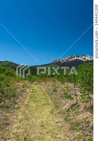 The fresh greenery of Norikura Plateau: A refreshing summer walking trail and Mount Norikura. The fresh greenery of Norikura Plateau: A refreshing summer walking trail and Mount Norikura. 140441309