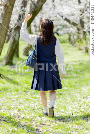 一位高中女生背對著鏡頭,沿著一排櫻花樹行走,展現了春日裡女生上學的景象。 一位高中女生背對著鏡頭,沿著一排櫻花樹行走,展現了春日裡女生上學的景象。 140441335