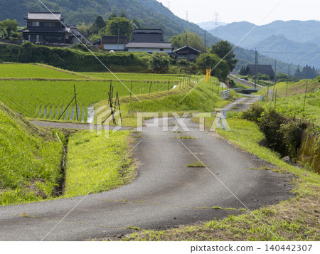 一條農場道路穿過梯田的景色。 140442307