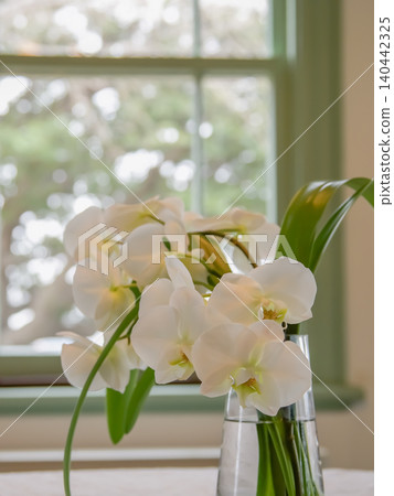 White flowers on the window side 140442325