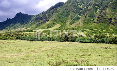 The grasslands and valleys of Kualoa, Hawaii, USA The grasslands and valleys of Kualoa, Hawaii, USA 140443029