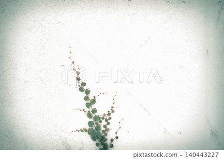 weeds growing on concrete wall weeds growing on concrete wall 140443227