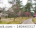 Tourists in kimonos and the fully bloomed plum blossoms add to the spring beauty of Kenrokuen Garden in Kanazawa. 140443317