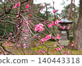 Fresh red plum blossoms and stone lanterns in Kenrokuen Garden, Kanazawa, after the rain (Kanazawa City, Ishikawa Prefecture) 140443318