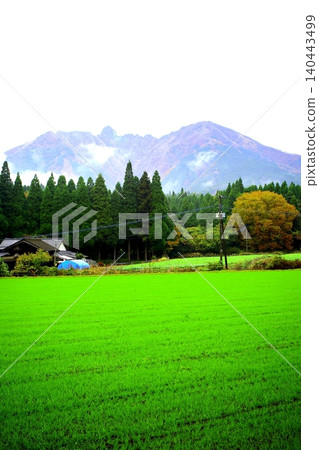 The mountains and green carpet of Aso, Kumamoto Prefecture The mountains and green carpet of Aso, Kumamoto Prefecture 140443499