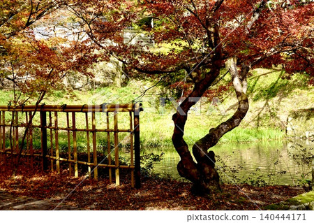兵庫縣丹波市圓通寺北條池的秋葉景色，這裡是丹波三大賞楓勝地之一。 140444171
