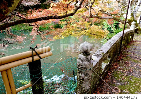 兵庫縣丹波市圓通寺北條池的秋葉景色，這裡是丹波三大賞楓勝地之一。 140444172