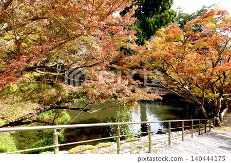 Autumn foliage scenery at the Hojo Pond of Entsuji Temple, one of the three famous autumn foliage spots in Tanba, Tanba City, Hyogo Prefecture 140444175