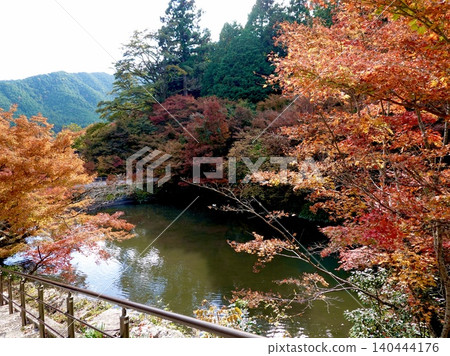 兵庫縣丹波市圓通寺北條池的秋葉景色，這裡是丹波三大賞楓勝地之一。 140444176