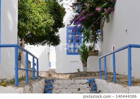 Landscape of Sidi Bou Said, Tunis, Tunisia Landscape of Sidi Bou Said, Tunis, Tunisia 140444306
